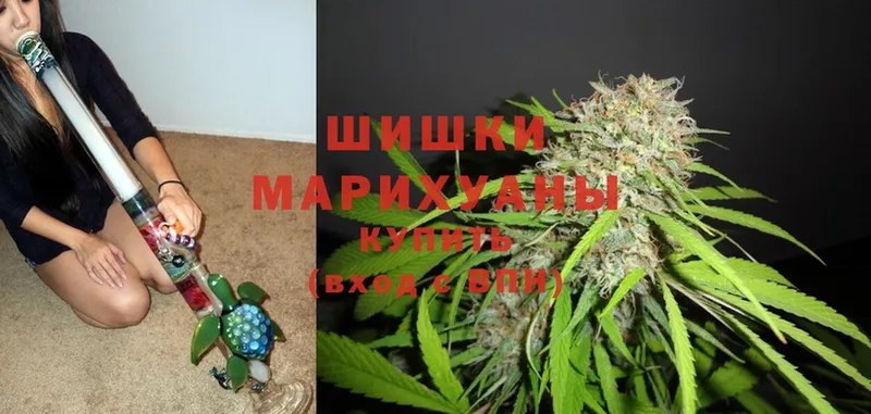 хочу   Челябинск  Шишки марихуана OG Kush 